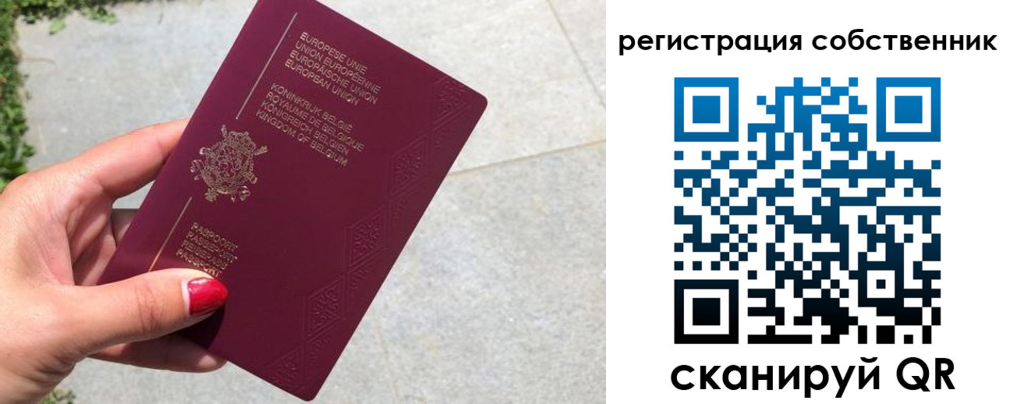 временная регистрация поиск в Волоколамске